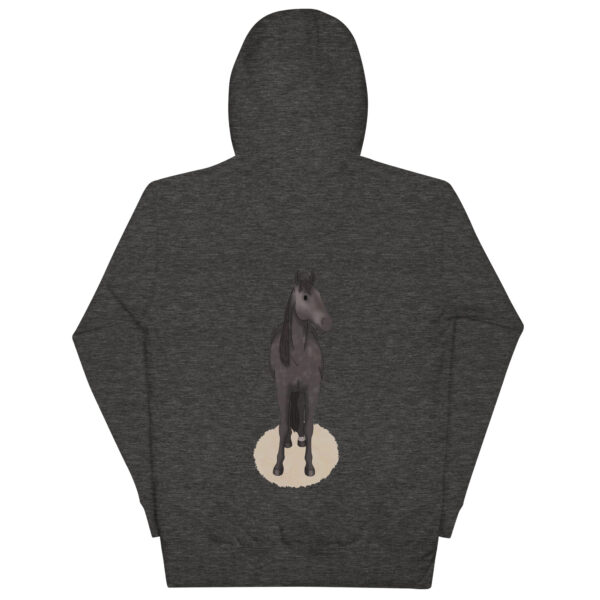 Orlando Adult Hoodie - Image 6